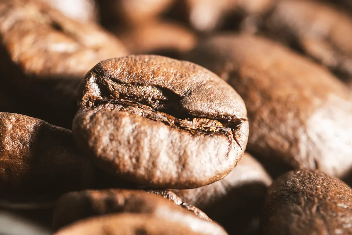 Close-up biji kopi sangrai berwarna cokelat gelap dengan tekstur yang terlihat jelas
