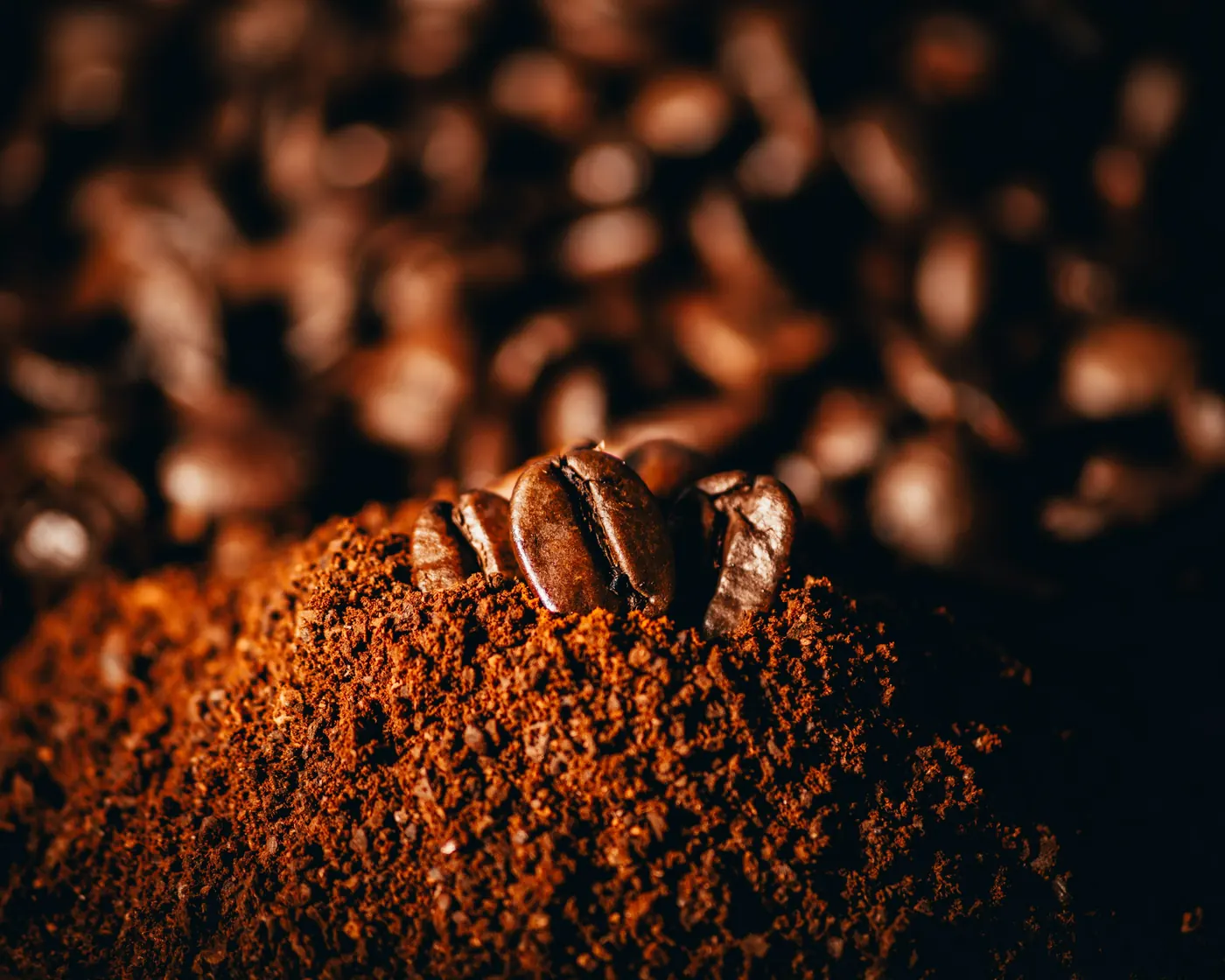 Biji kopi sangrai dan gilingan kopi berwarna cokelat dengan cahaya hangat